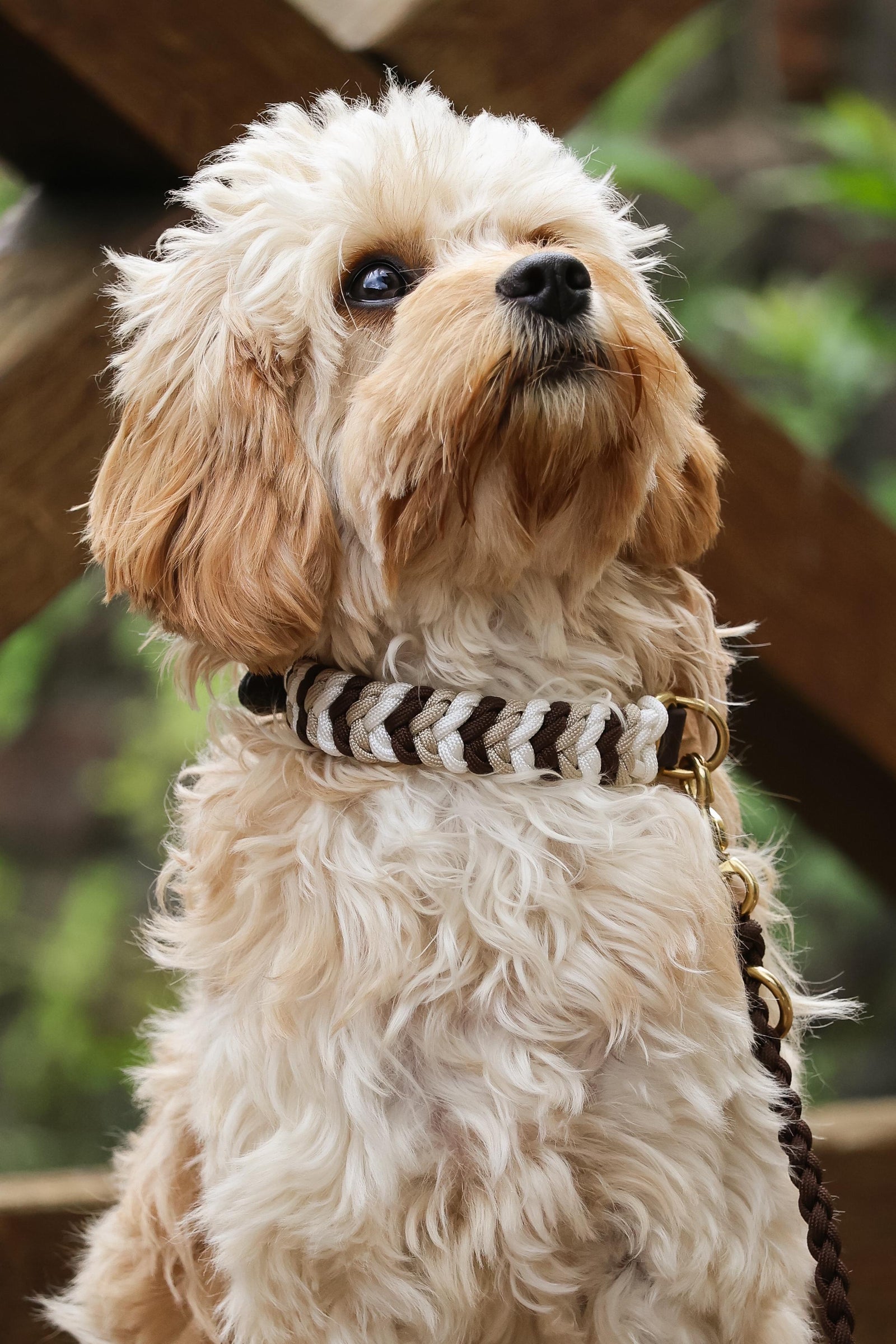 Hundehalsband Paracord NELDA