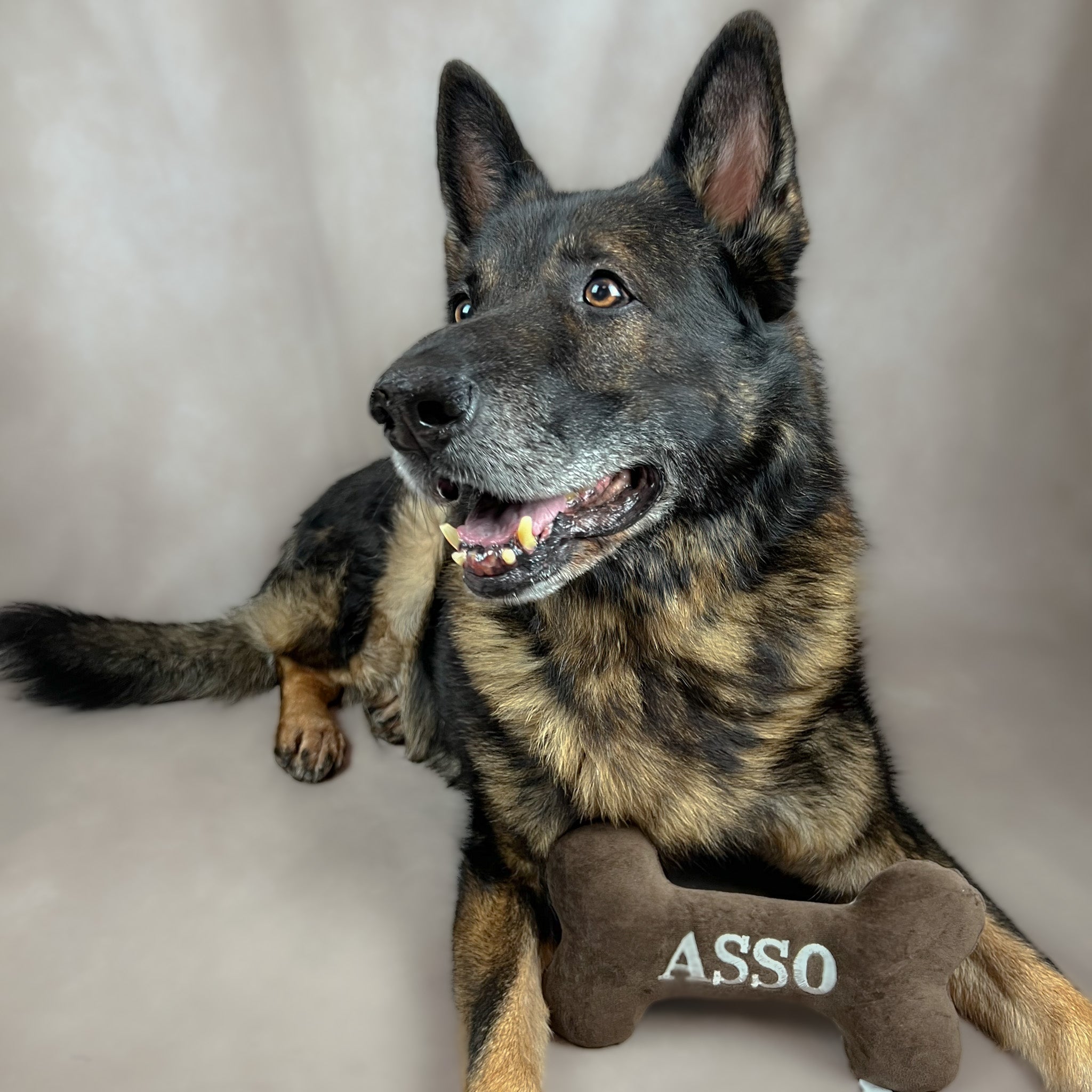 Personalisierbarer Kuschelknochen KUNO