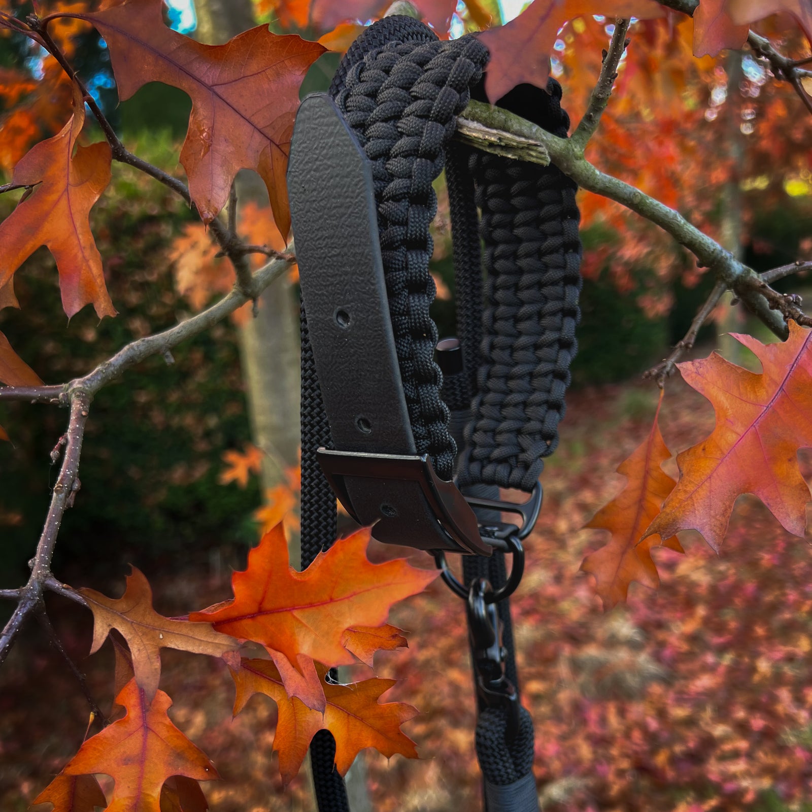 Hundehalsband Paracord FERO Pitch Black