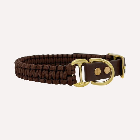 Hundehalsband Paracord CLEO Foggy Walnut