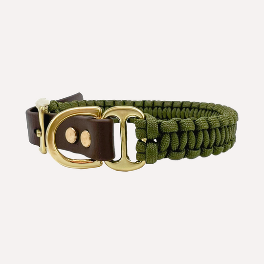 Hundehalsband Paracord CLEO Dark Olive