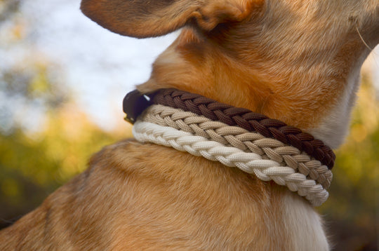 Hundehalsband Paracord MIRA