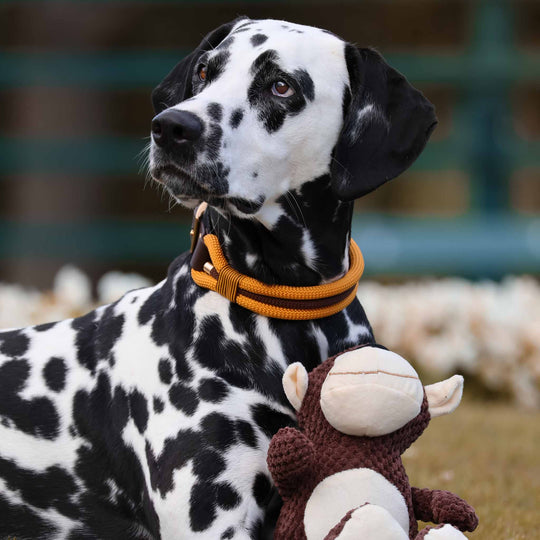 Plüsch-, Quietschkuscheltier NOA