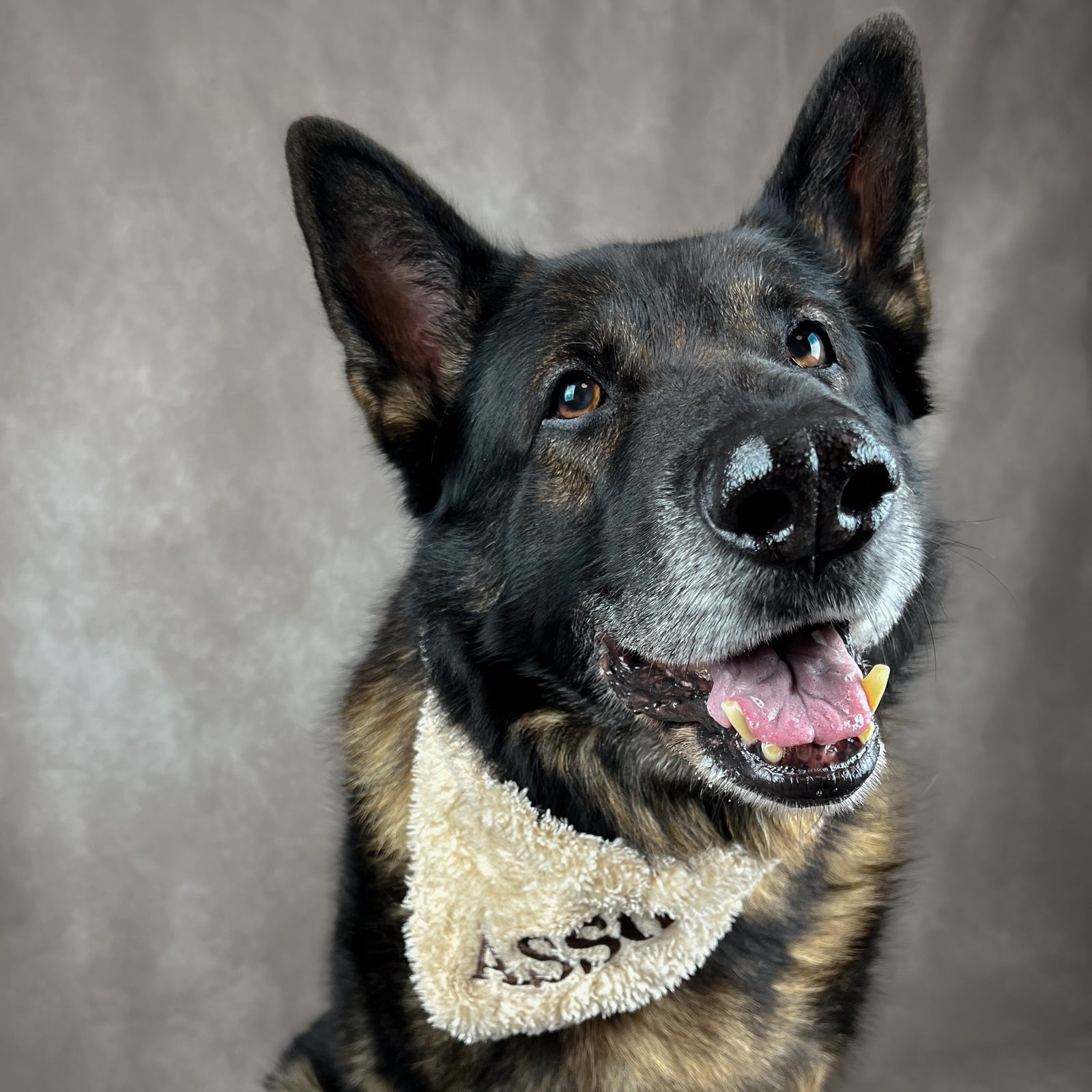 Personalisierbares Hundehalstuch EMILIA