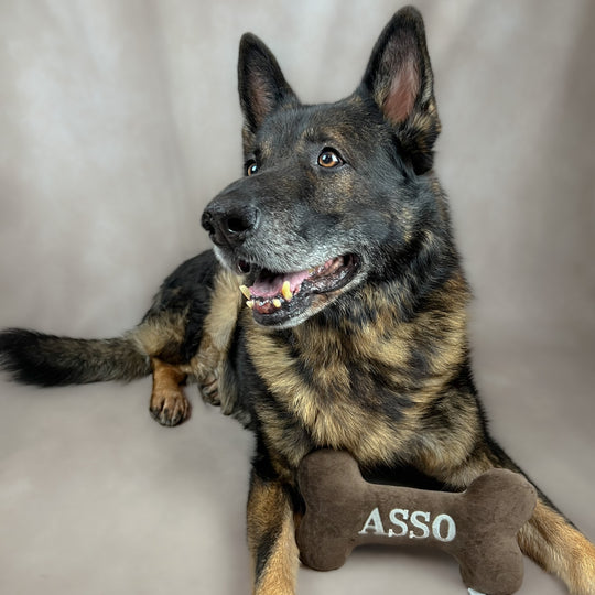 Personalisierbarer Kuschelknochen KUNO