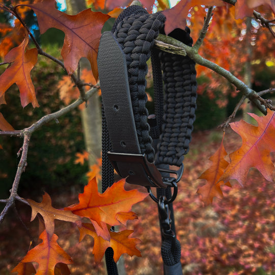 Hundehalsband Paracord FERO Pitch Black