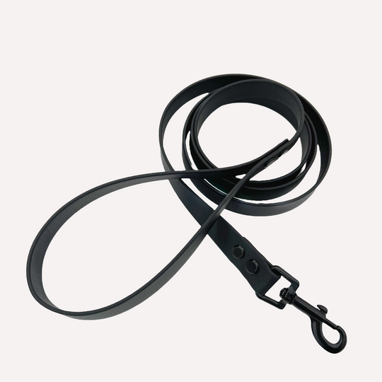 Hundeleine BioThane® LEVI