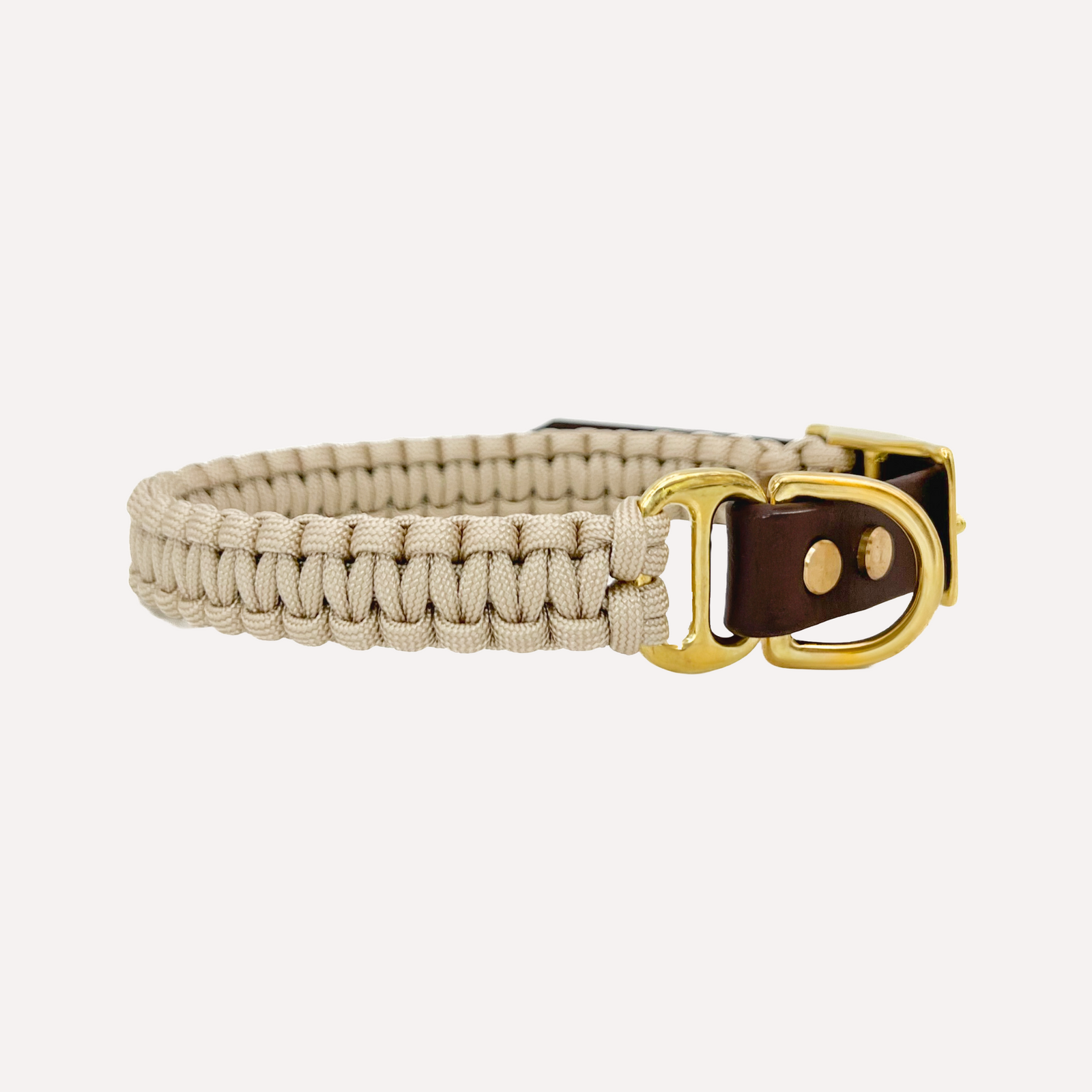 Hundehalsband Paracord CLEO Caffè Latte